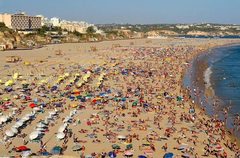 Praia Da Rocha, 605 Concorde, Charming Apartment With Sea View, Internet And Parking, By Ig Portimao 0*,  Portugal